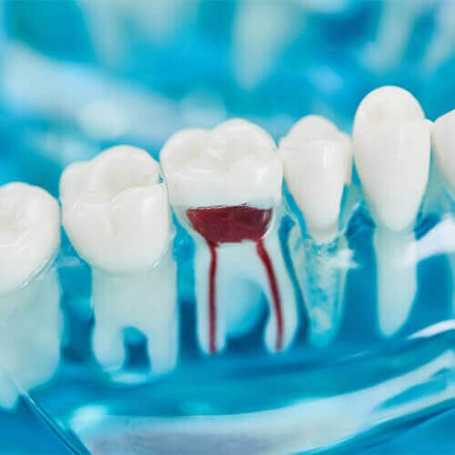 General Dentistry in Rochdale